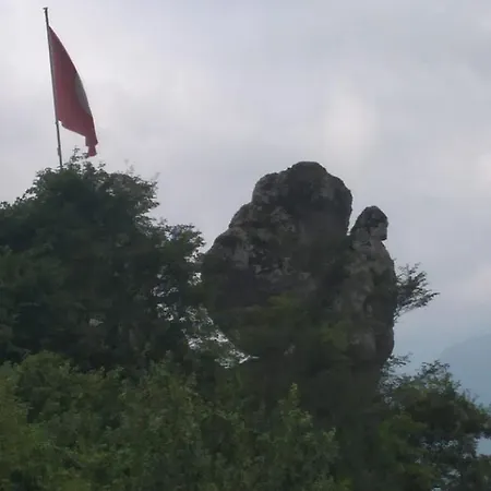 Kartal Tepesi & Restaurant Alpesi faház *